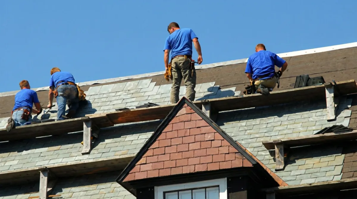 Roof replacement in progress with a team of professional contractors installing new shingles on a residential home in Arvada, CO